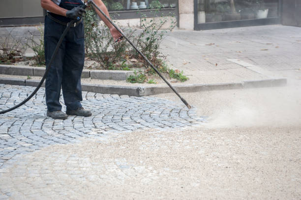 Animal Enclosure Cleaning in Merryville, LA
