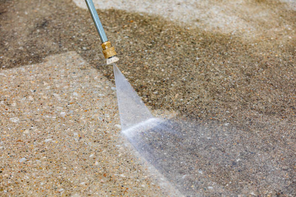 Best Roof Washing  in Merryville, LA
